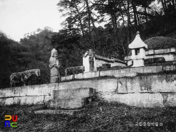 안변 조선 익조 지릉 우측 장명등과 석인