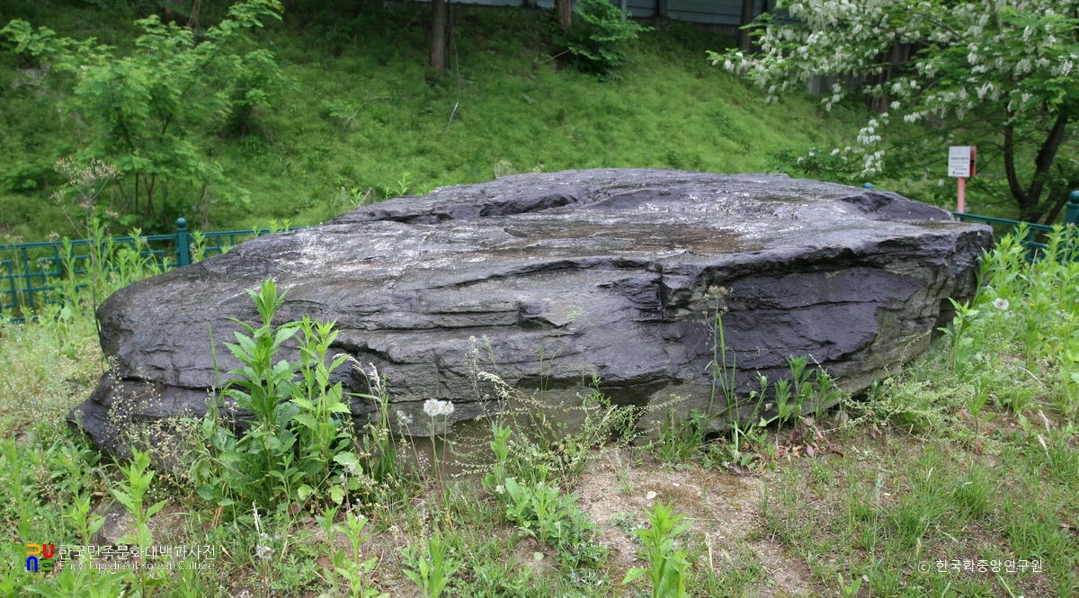 대전 비래동 고인돌