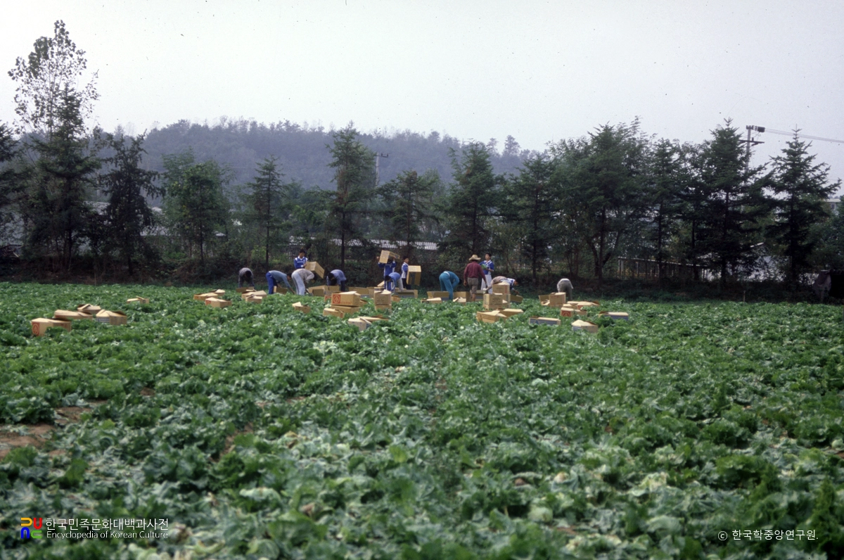 신갈농민학교 실습