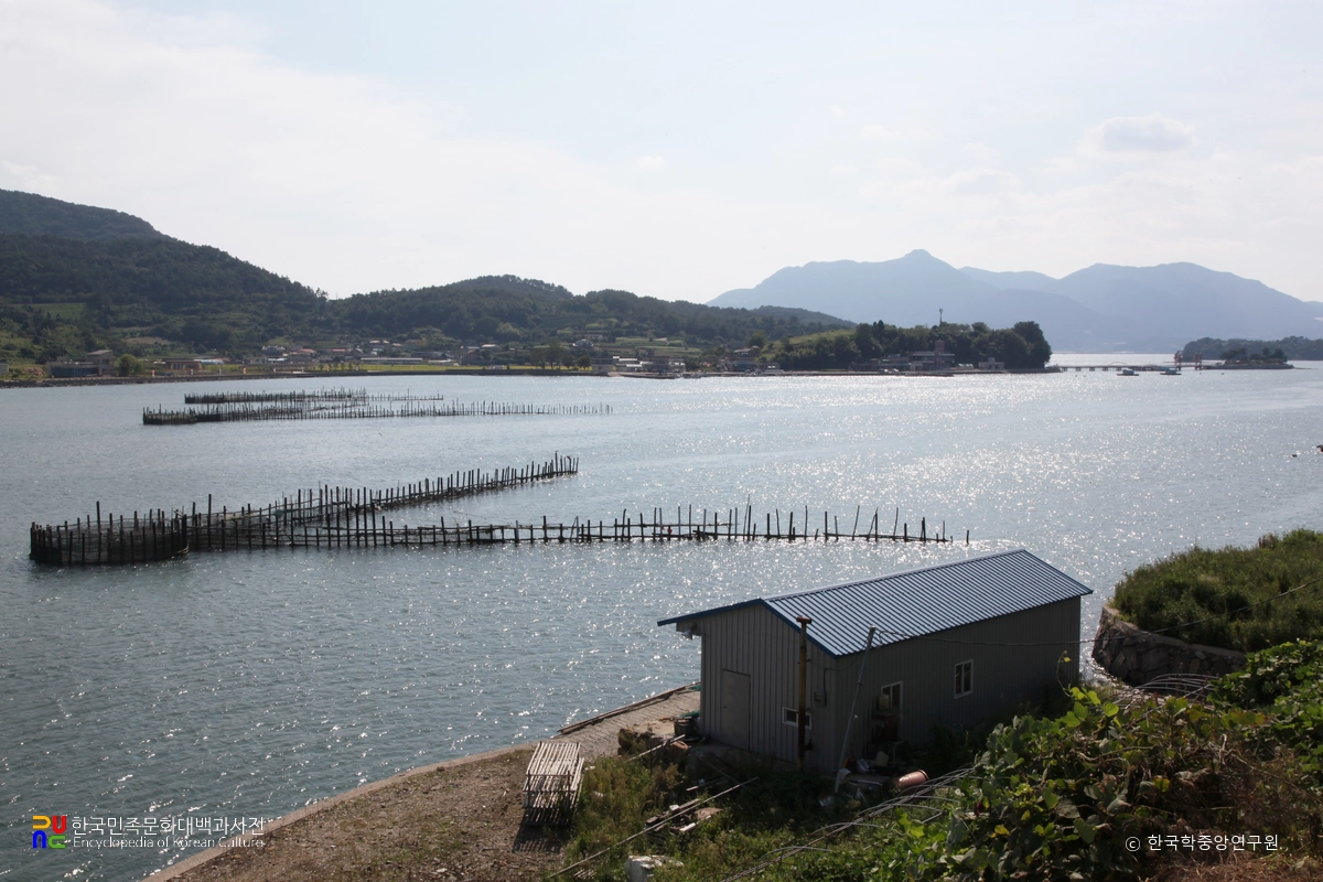 남해 지족해협 죽방렴 원경