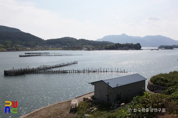 남해 지족해협 죽방렴 원경