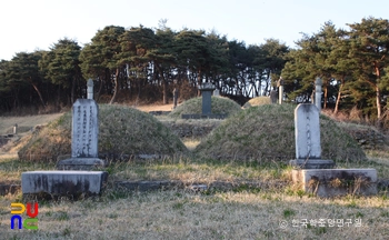 함양 평촌리 신고당 신도비 및 부부 묘