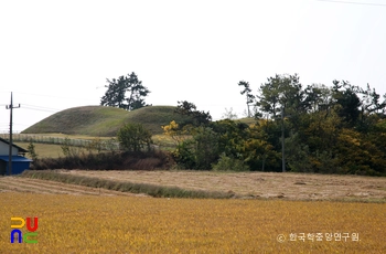 함평 예덕리 신덕 고분군