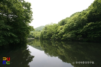 선운산계곡