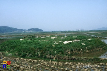 경주 보문동 사지 전경