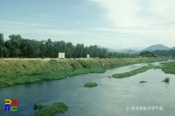 요천 부근의 임수