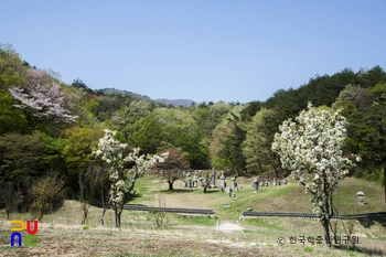 고성 건봉사 부도군