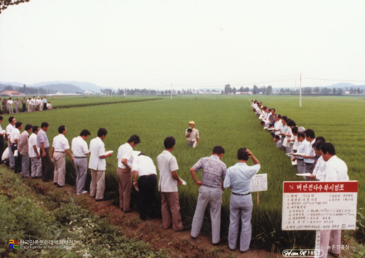 농촌지도사업 / 벼 안전다수확시범포 평가