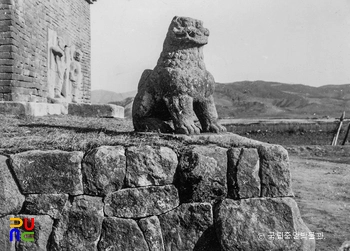 경주 분황사 모전석탑 중 기단 서남쪽 석사자 보수 후 정면