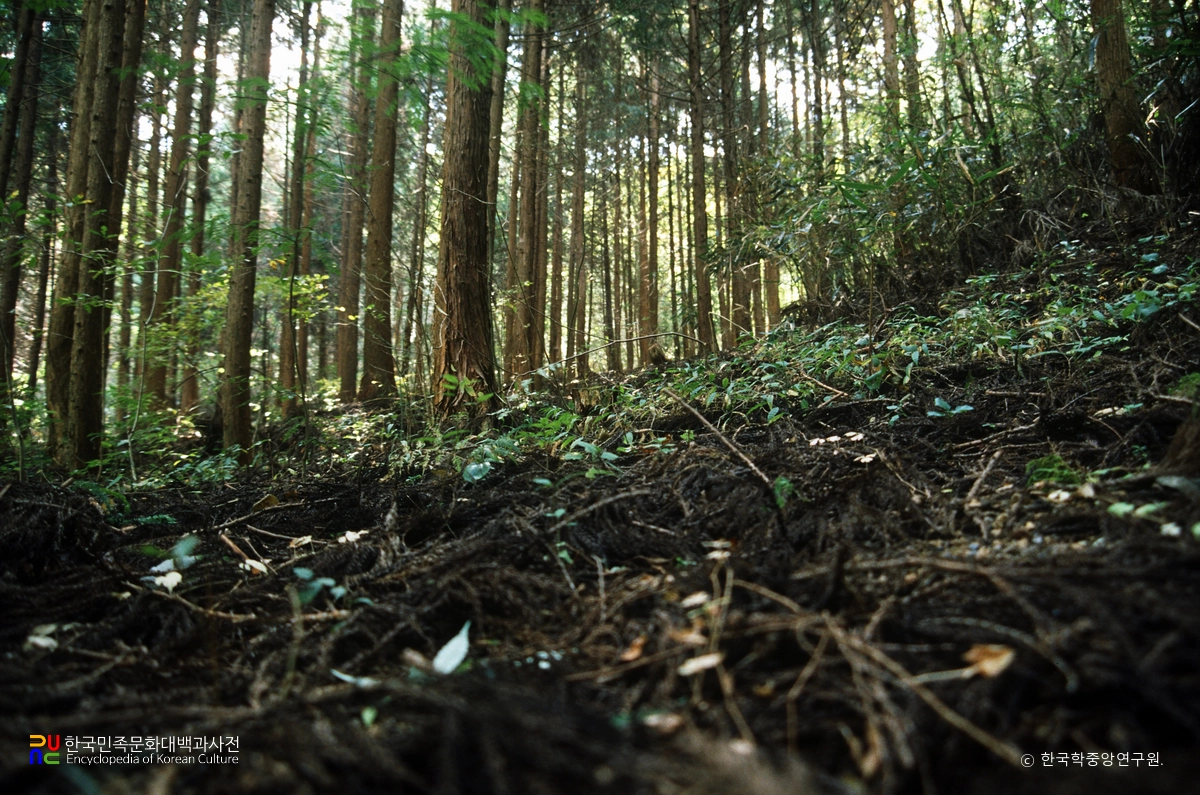 순천 송광사 흑토 기와.전 도요지