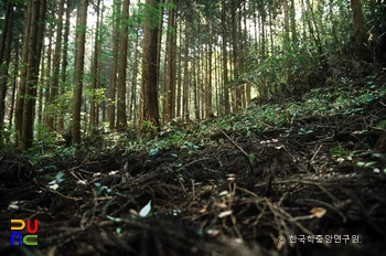 순천 송광사 흑토 기와.전 도요지