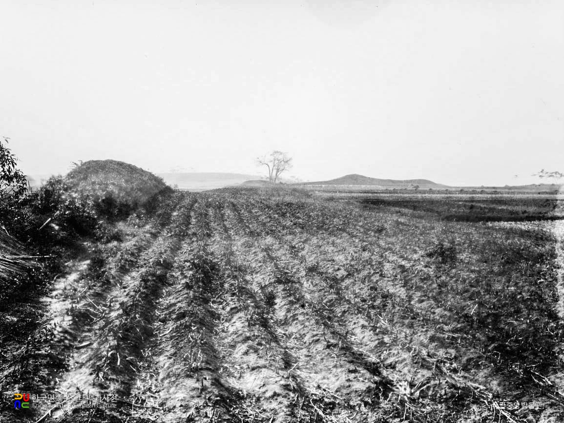 평안남도 대동군 낙랑군치지 성벽