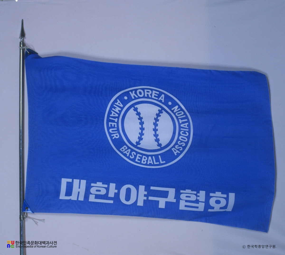 대한야구협회 기