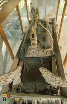 슬롯 사이트 상여 지붕