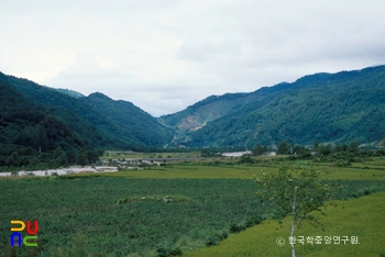 진부령고개 입구