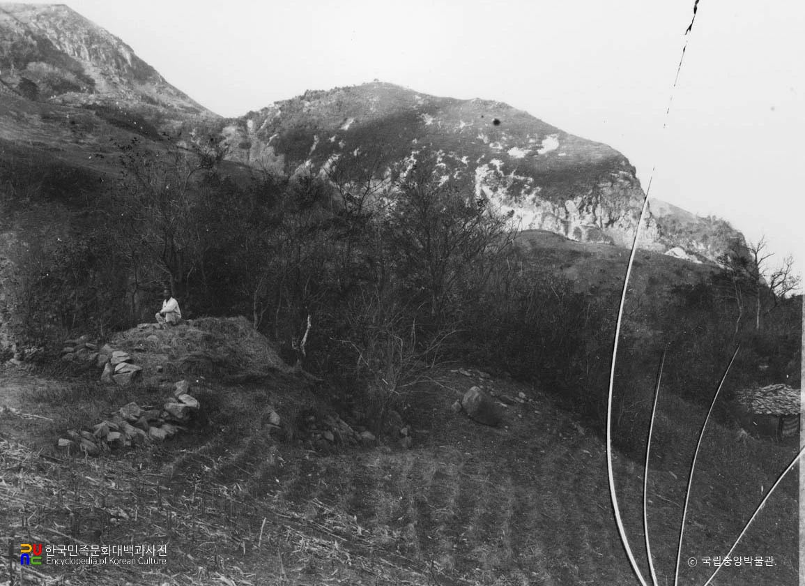 울릉 천부동 유적