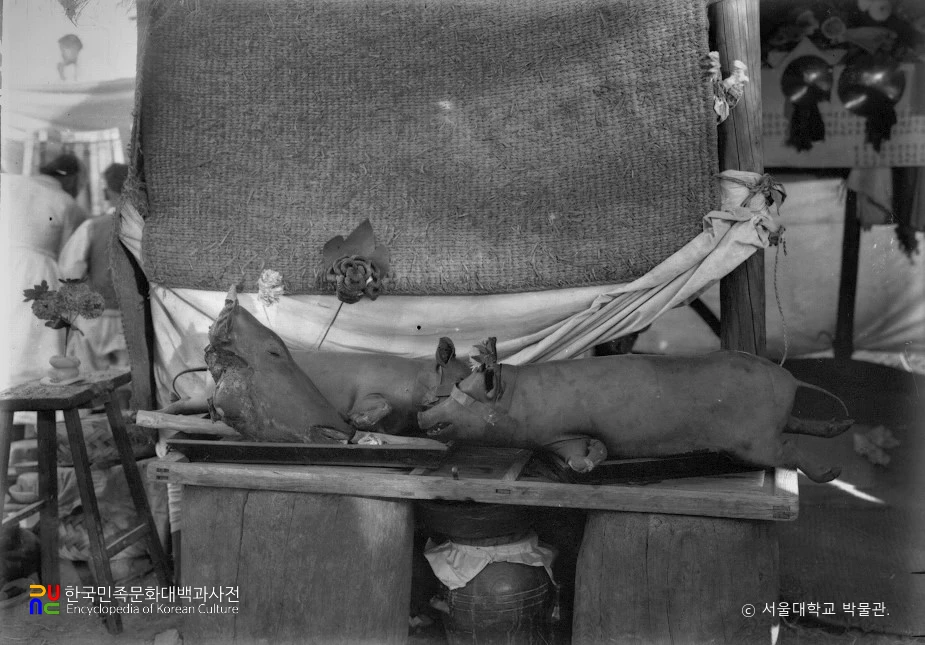 도당굿 희생물(탕주)