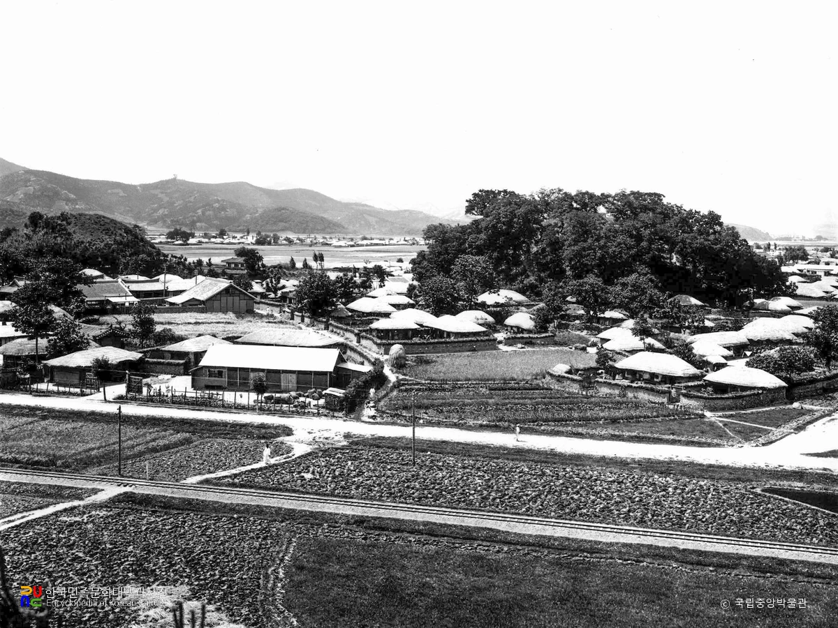 경주 대릉원 일원 중 봉황대 고분 동쪽 부근 전경