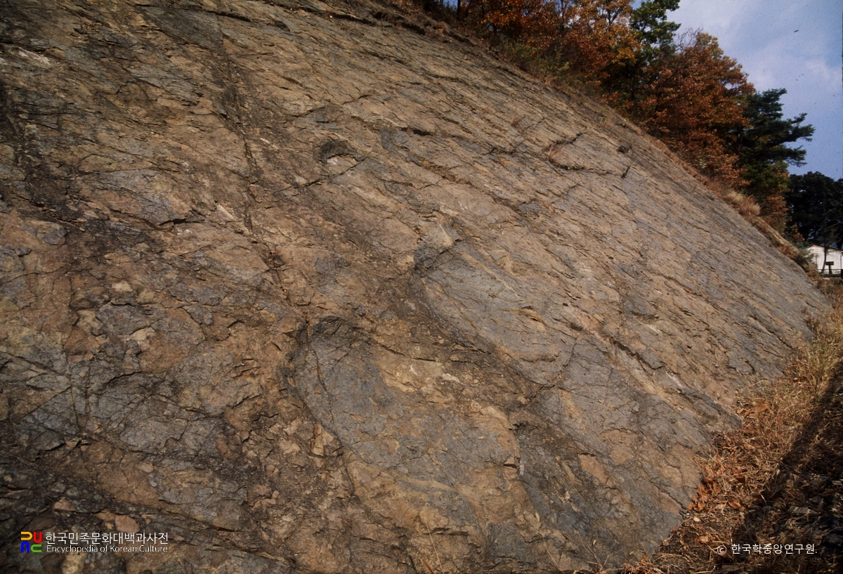 의성 제오리 공룡발자국화석 산지 세부