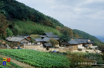 영천 은해사 백흥암