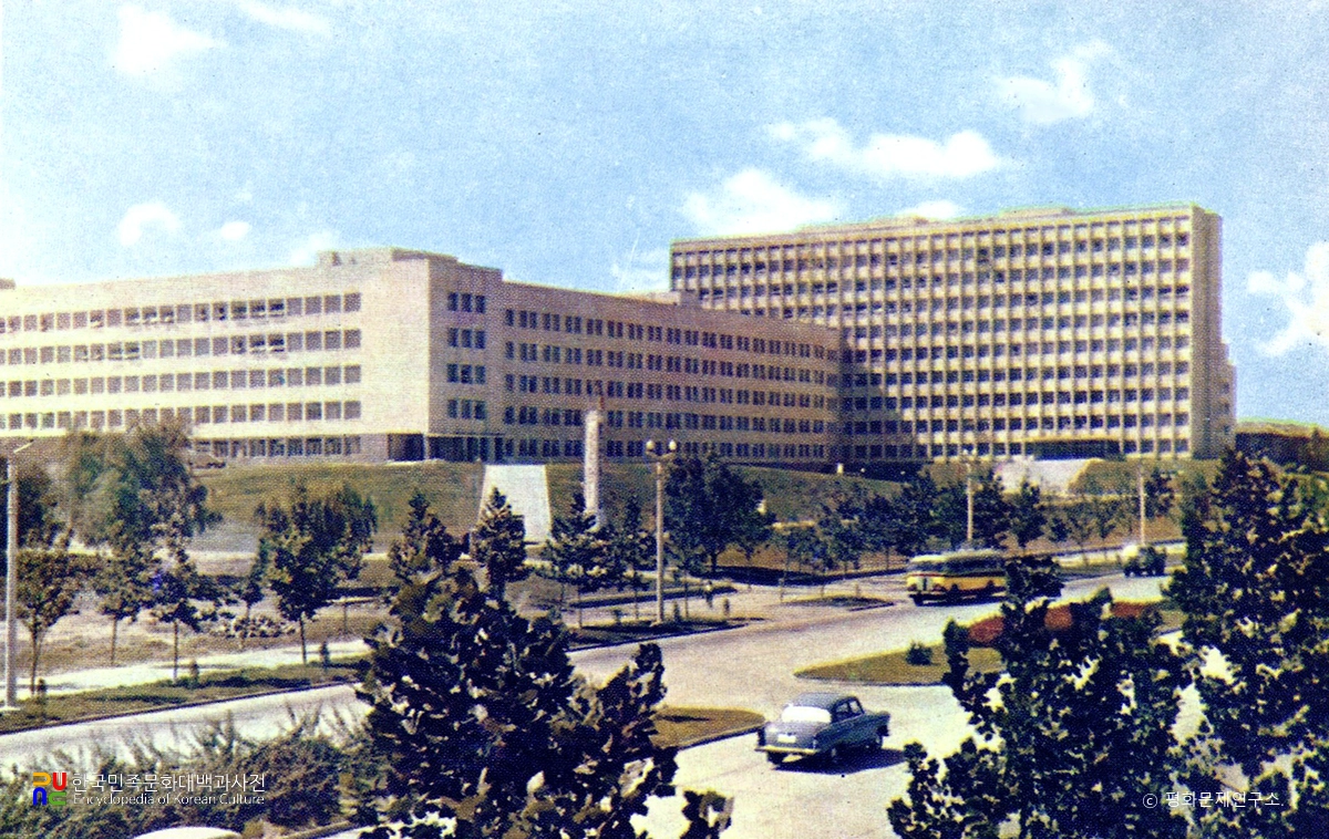 김일성종합대학