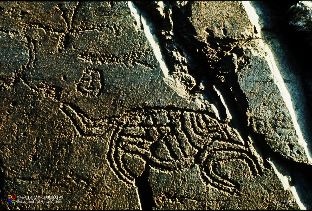 울주 대곡리 반구대 암각화 세부 모습