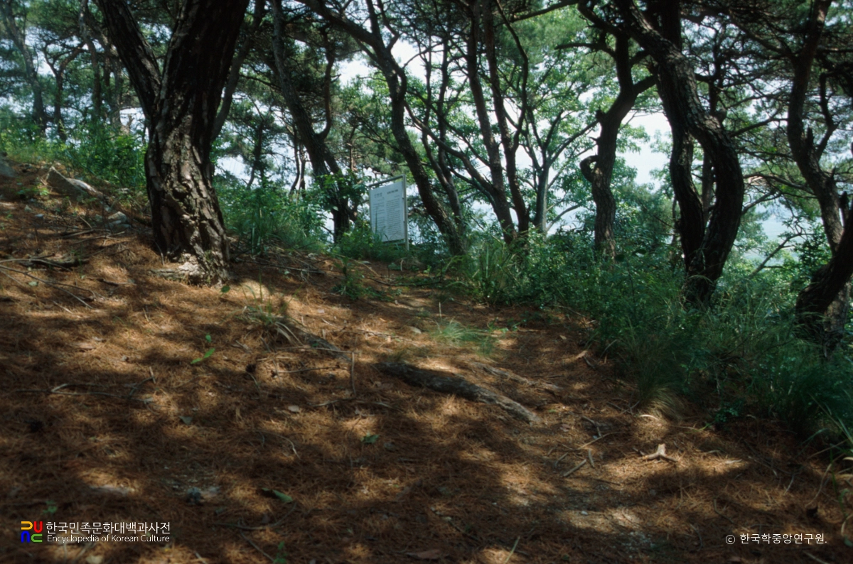 경주 구정동 고분군