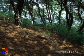 경주 구정동 고분군