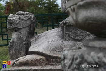 밀양 영원사지 보감국사 묘응탑비 귀부 측면