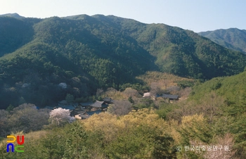 구례 천은사 전경