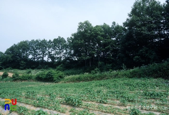 진천 대모산성
