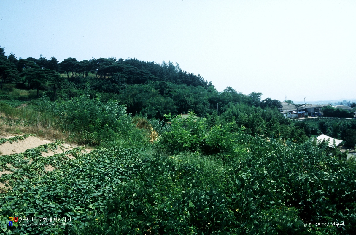 부안 백산성