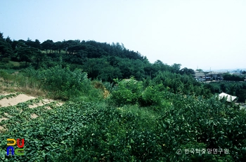 부안 백온라인 슬롯사이트