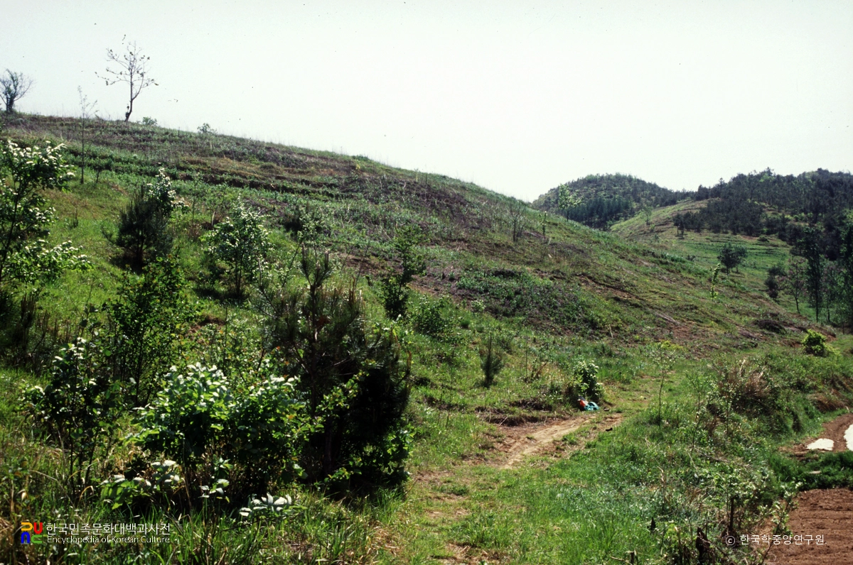 합천 삼가고분군 전경