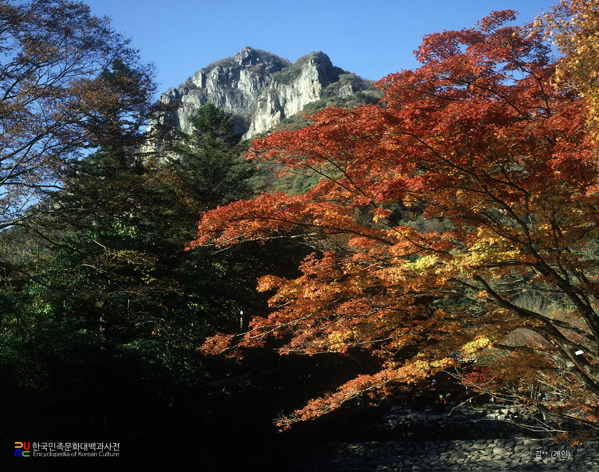 장성 백양사 백학봉