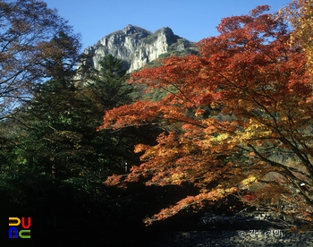 백양산 백학봉