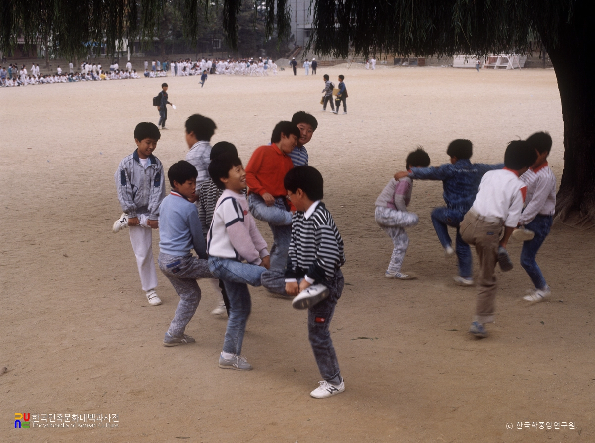 깨끔발싸움(닭싸움)
