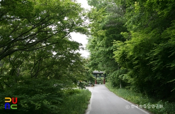 고창 문수사 단풍나무 숲