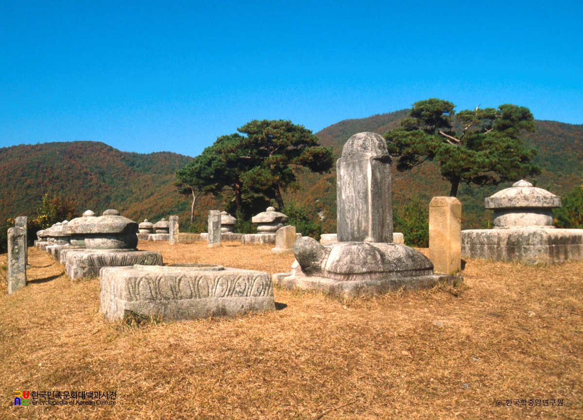 성주 세종대왕자 태실