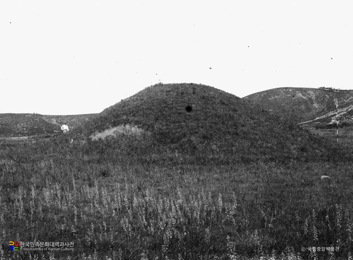 평안남도 대동군 토포리 남총 정면