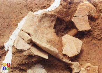 대구 시지동 유적 발굴 전경