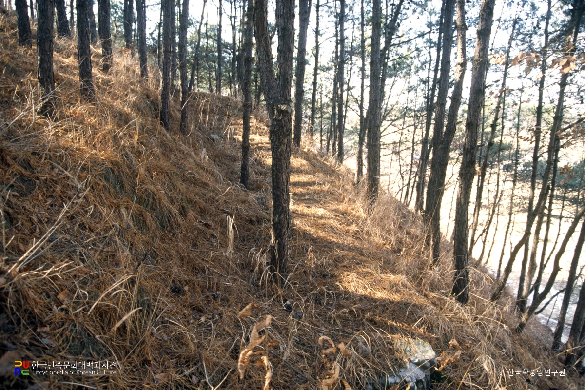 부여 청산성 전경