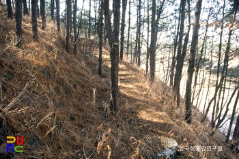 부여 청산성 전경