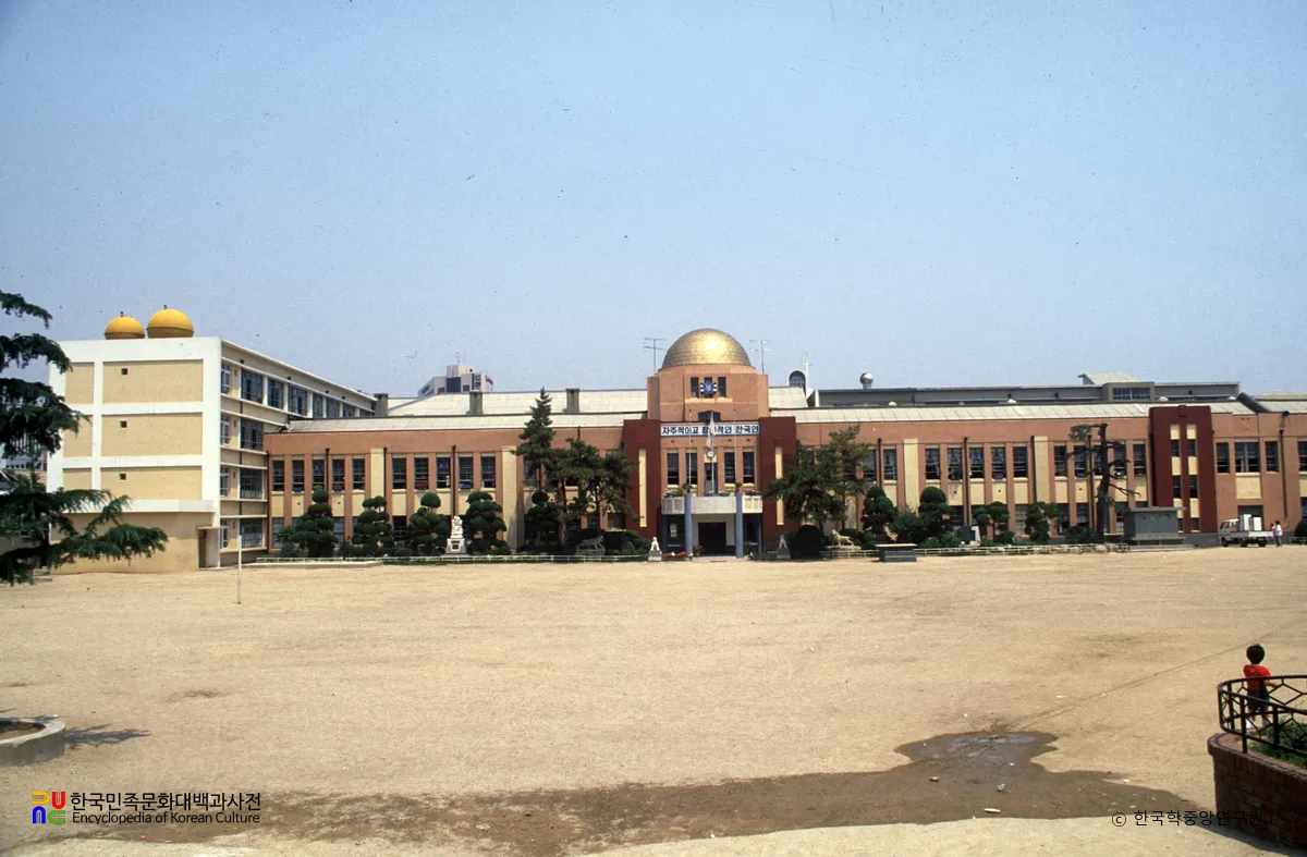 대구국민학교
