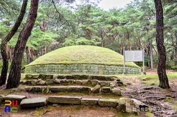 경주 신라 헌강왕릉 정면