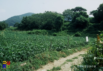 공주 구룡사지