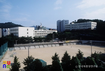 부산외국어대학교