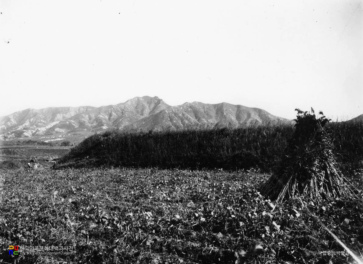 평안남도 용강 점제현 치지