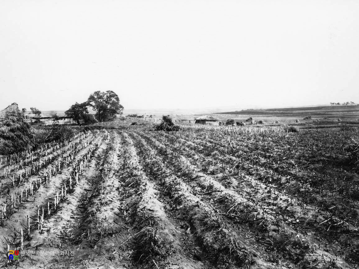 평양 낙랑토성과 고분 전경