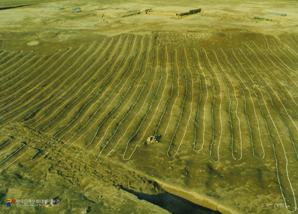 진주 대평리 유적